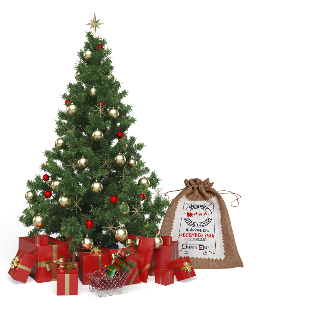 Sacul lui Mos Craciun, Include Personalizare